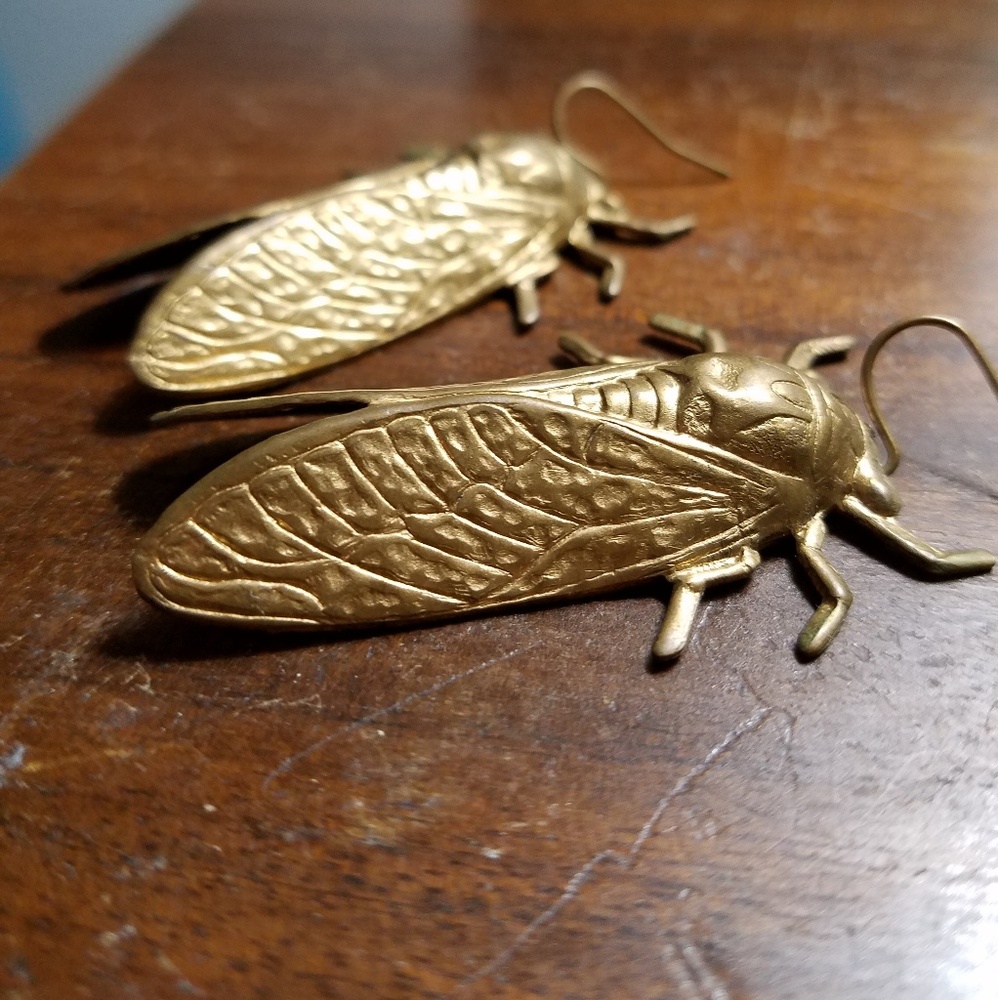 Magicicada Earrings